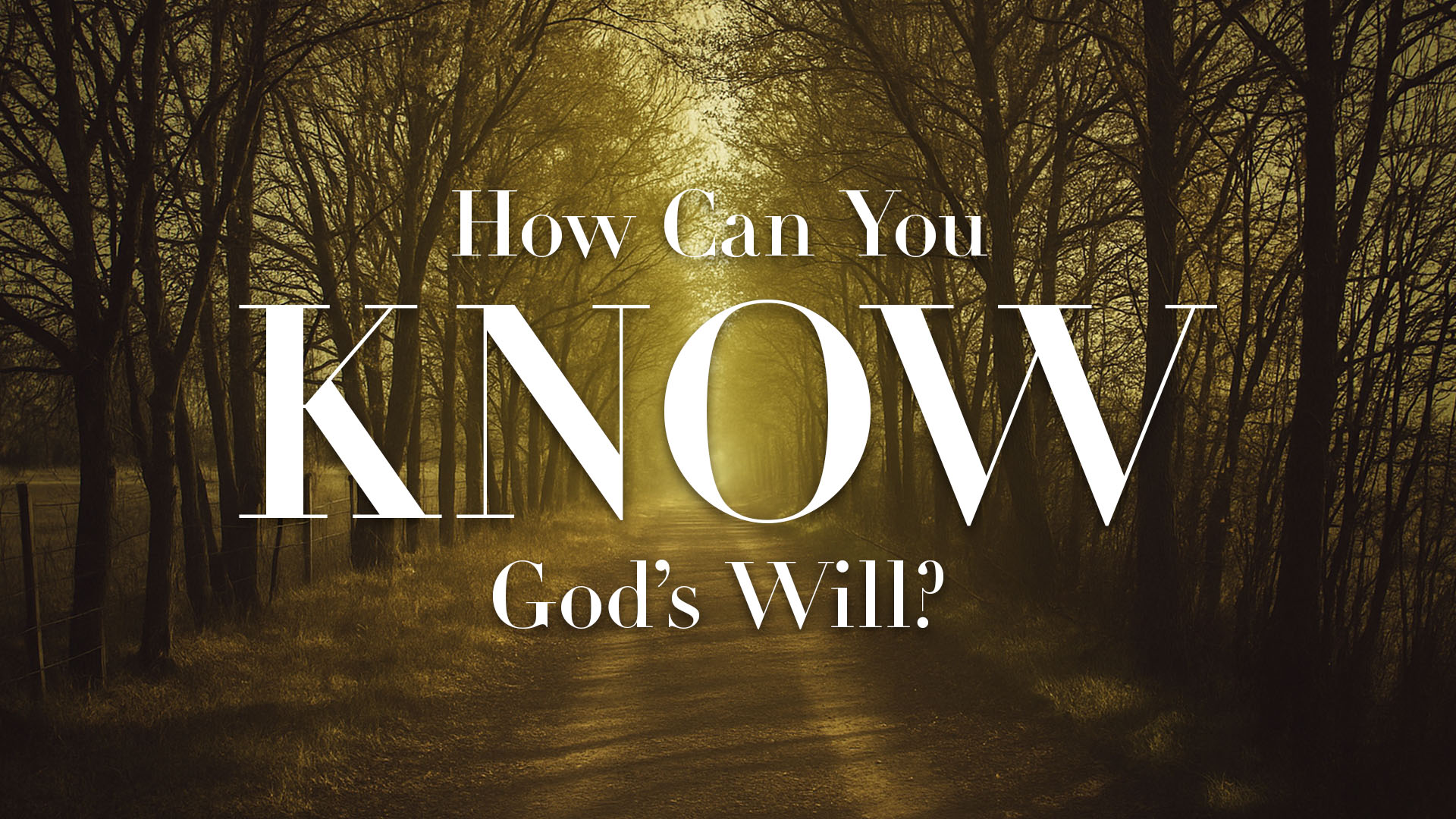 How Can You Know God's Will?

Monday | 6:30pm
June 9 & 16
Meeting at Forge Christian High School
